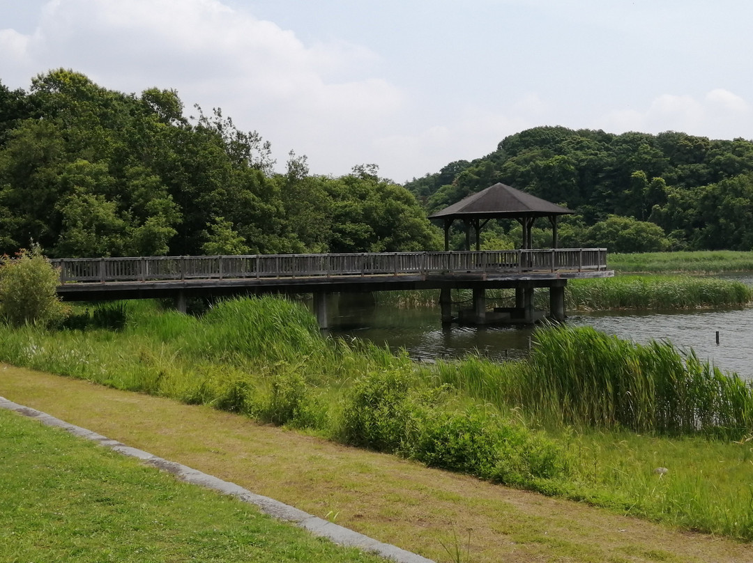 Forest and Park for the 21st Century-松户市必去景点