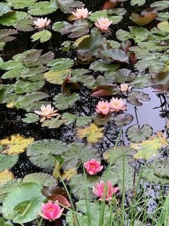 Park Seleger Moor-Rifferswil必去景点