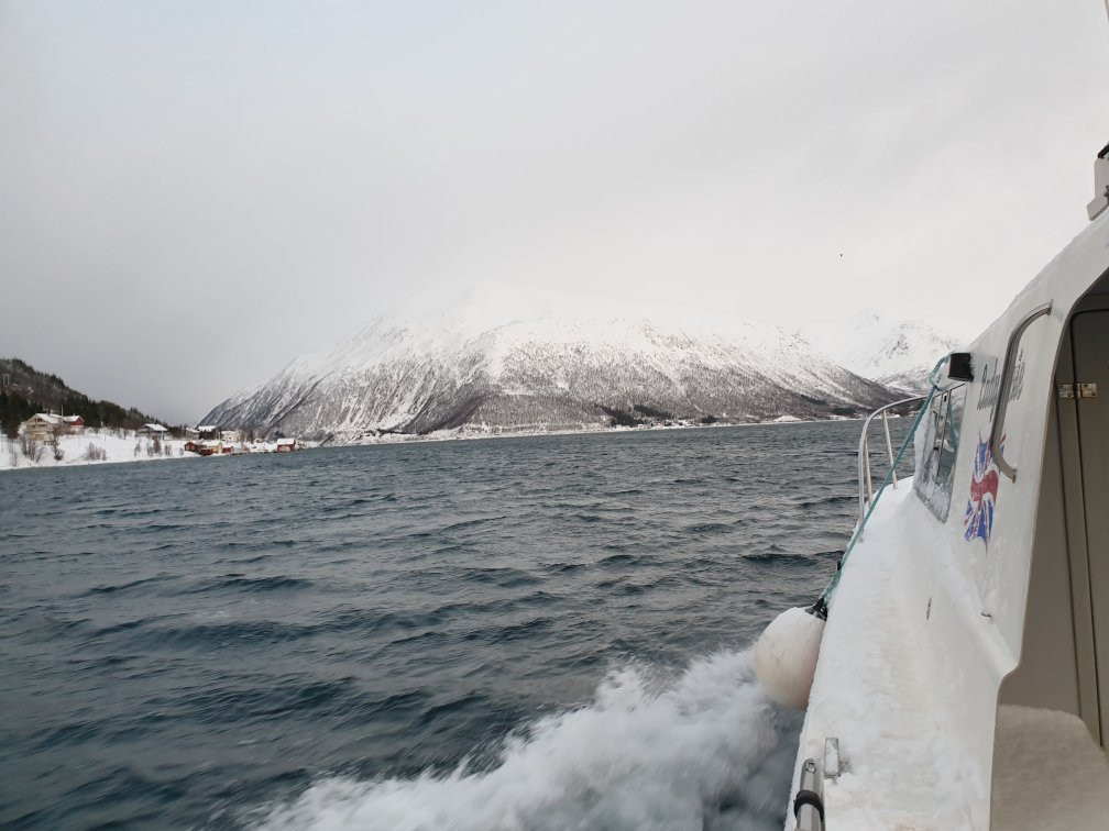 Lady Elsie Tromso - Sea fishing & Whale watching-特罗姆瑟必去景点