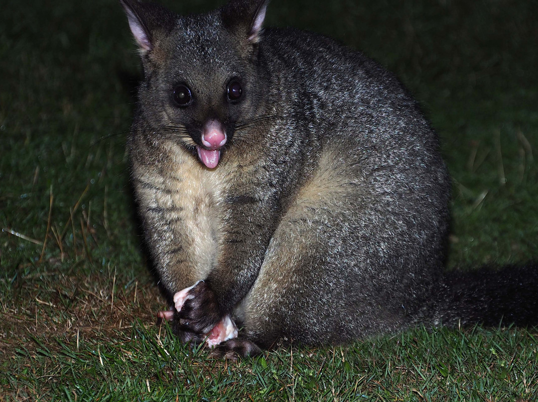 Mountain Valley Wilderness Holidays主图