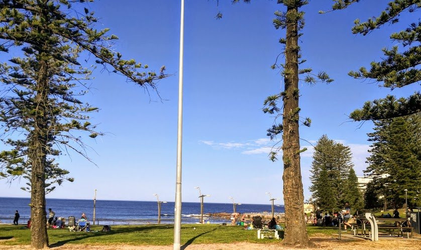 Dee Why Beach-悉尼必去景点