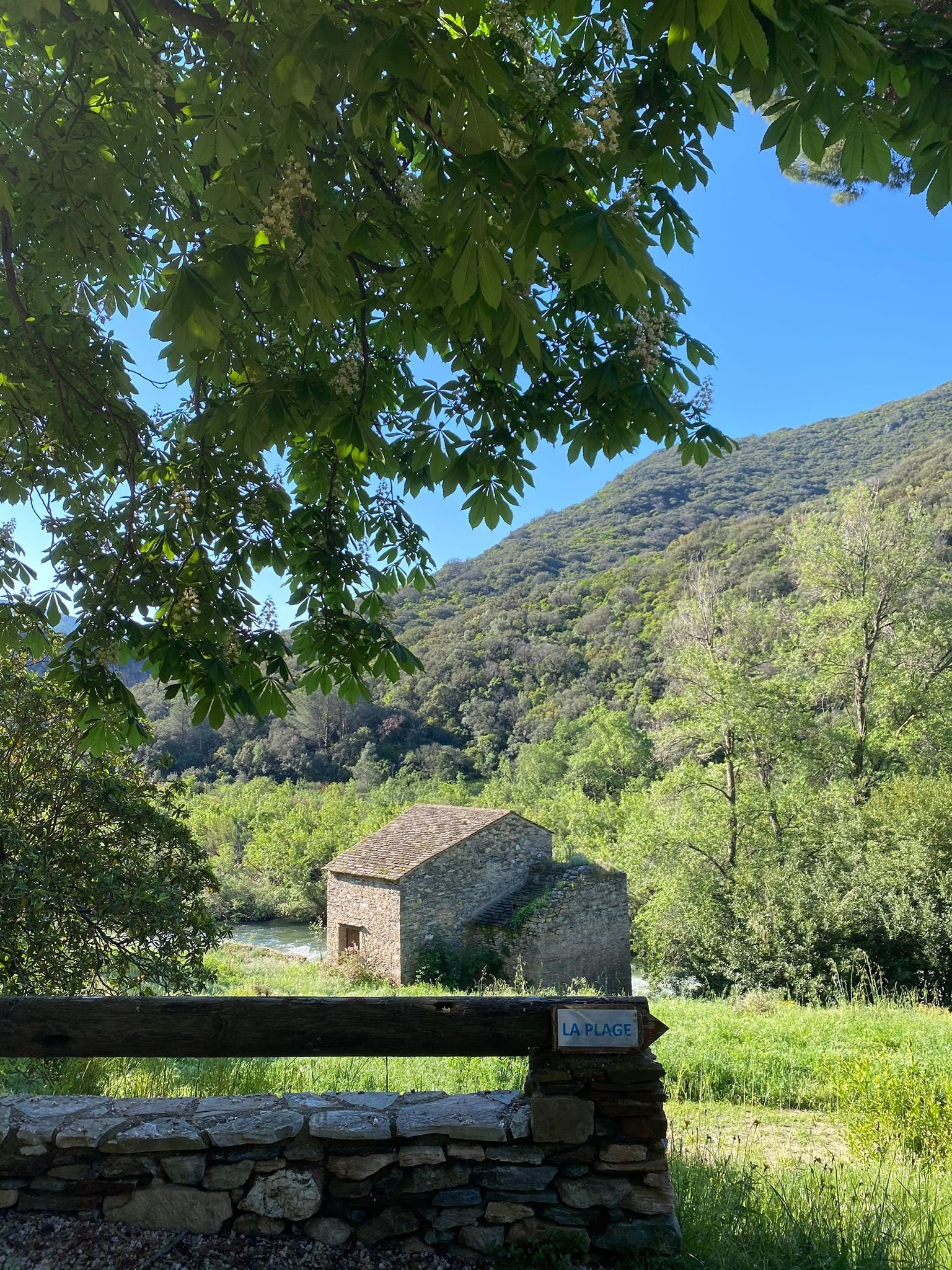 Domaine de Miravel-泳池