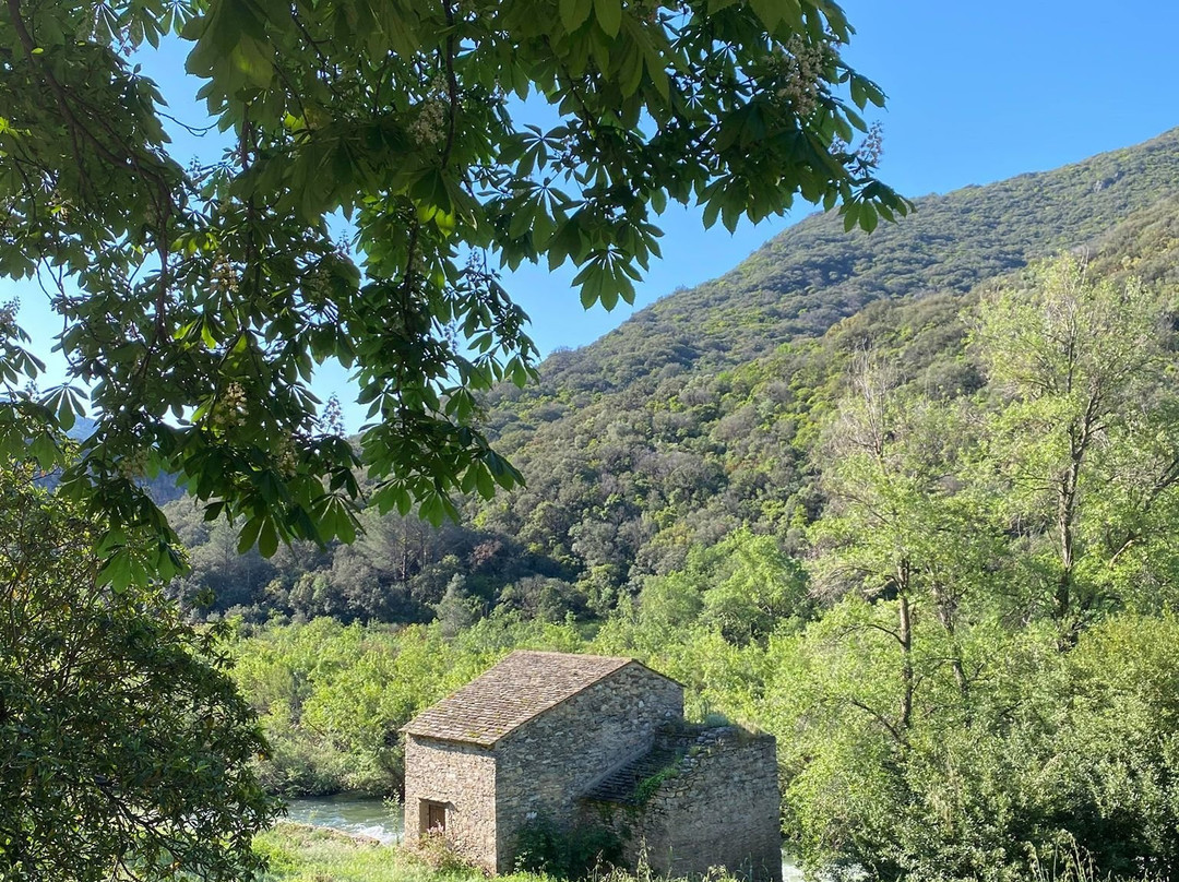 Domaine de Miravel主图