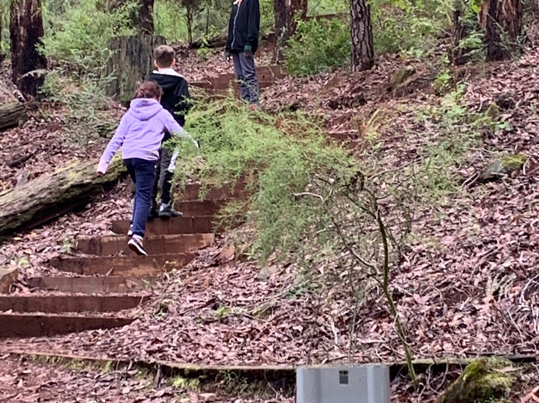 Dwellingup Bush Walk Chalets