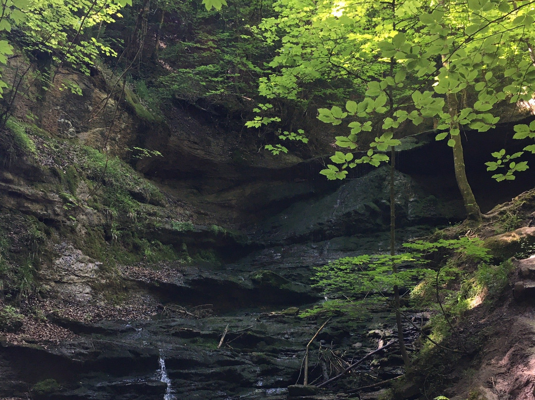 Naturpark Schwaebisch-Fränkischer Wald景点图片