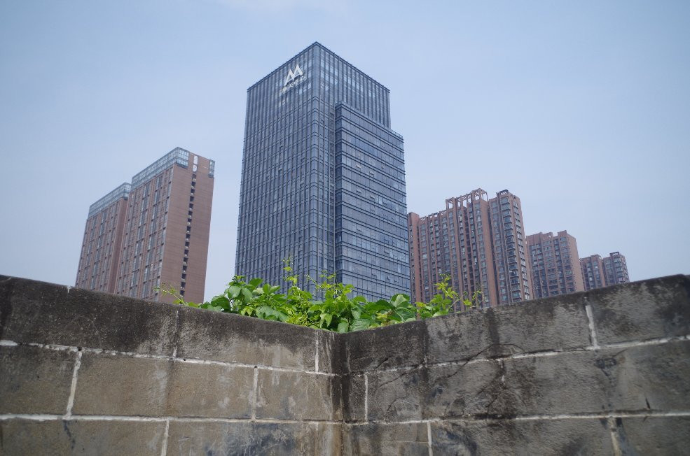 人民公园-南阳市必去景点