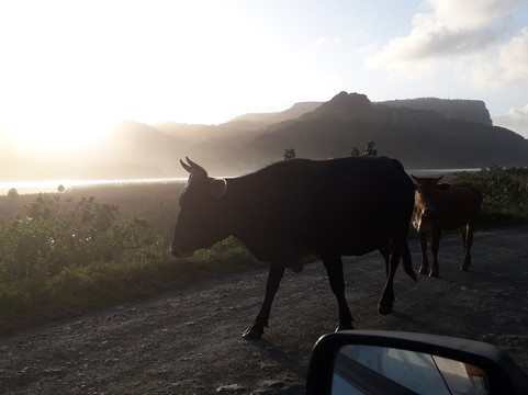Timm Blue Ocean Safaris-索德瓦纳必去景点