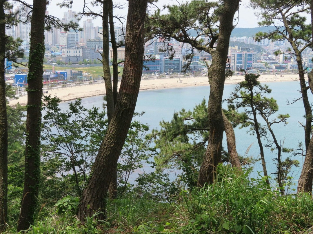 Ilsan Beach景点图片