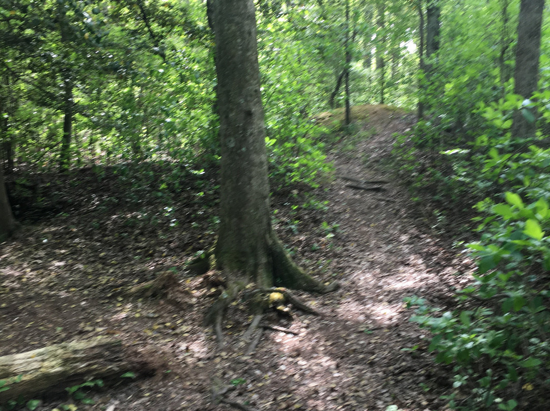 Willow Oak Natural Area景点图片