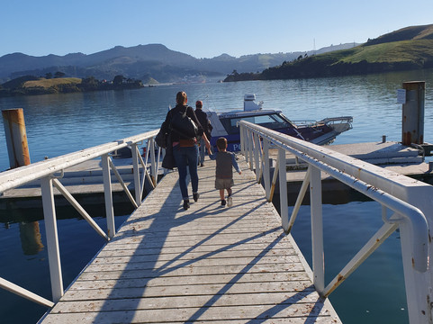 Port To Port Cruises and Wildife Tours-Port Chalmers必去景点