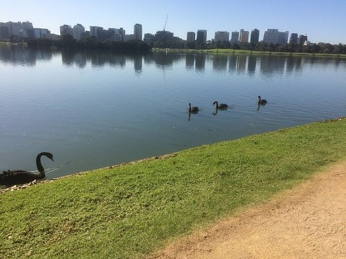 Albert Park Lake景点图片