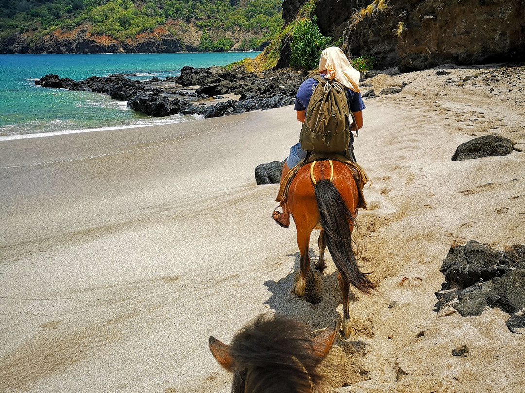 Nuku-Hiva on horseback-Nuku Hiva必去景点