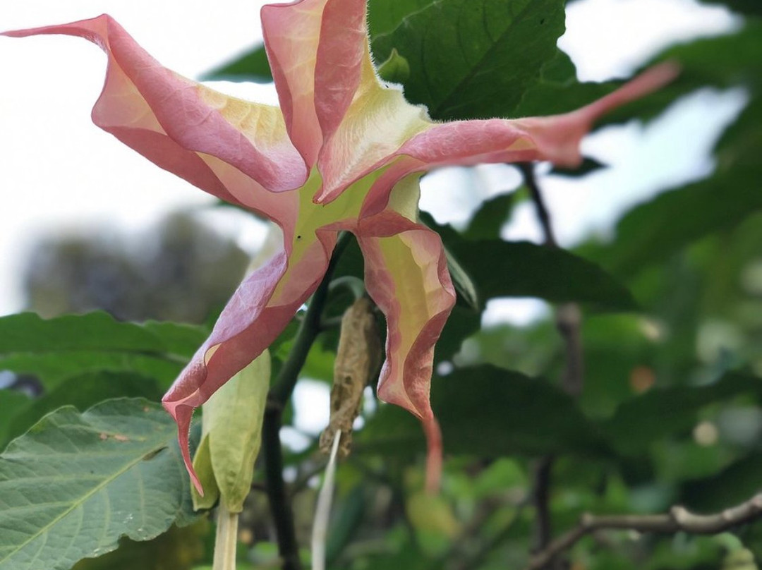 High Court View Hotel主图