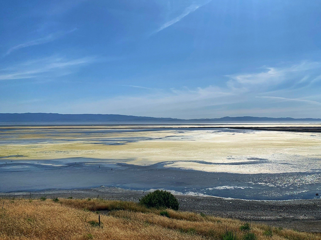 Coyote Hills Regional Park-费利蒙必去景点