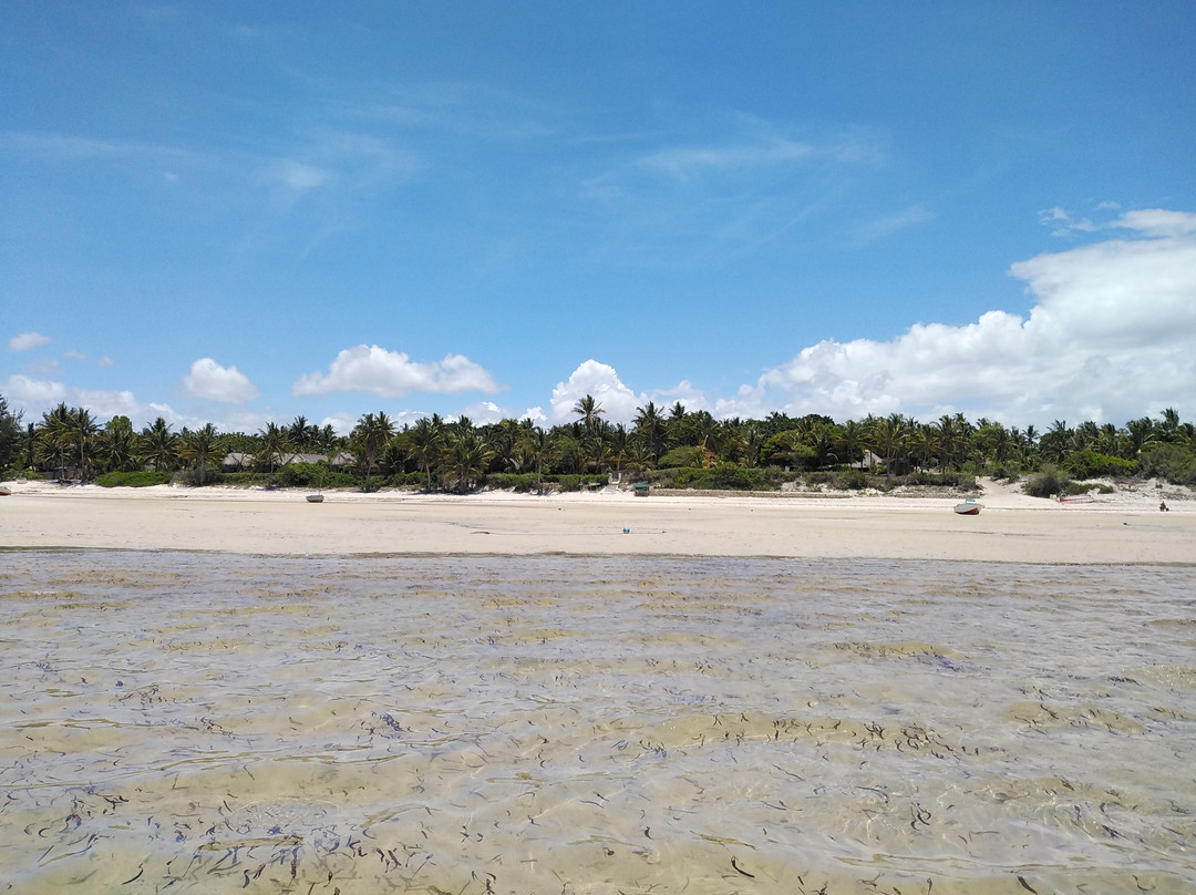 Moz Islands & Safaris景点图片