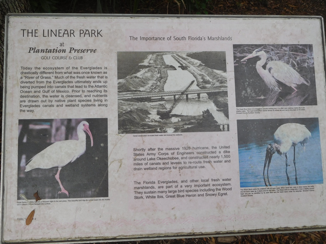 Plantation Preserve Linear Trail-种植园必去景点
