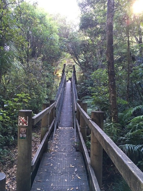 Kaitoke Regional Park景点图片