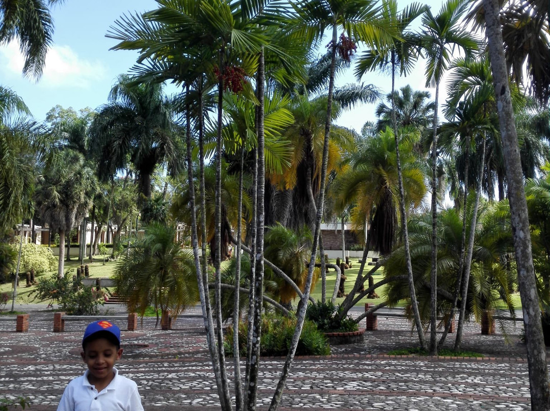 Jardin Botanico Nacional-Santo Domingo Province必去景点