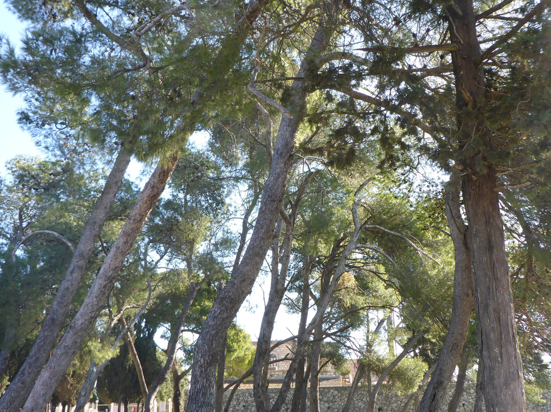 Mount Tabor-Kfar Tavor必去景点