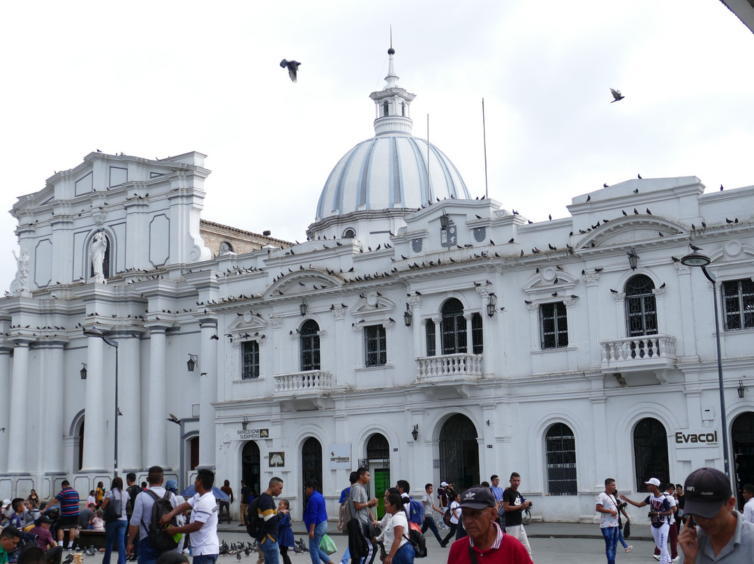 Cathedral Basilica of Our Lady of the Assumption-Popayan必去景点