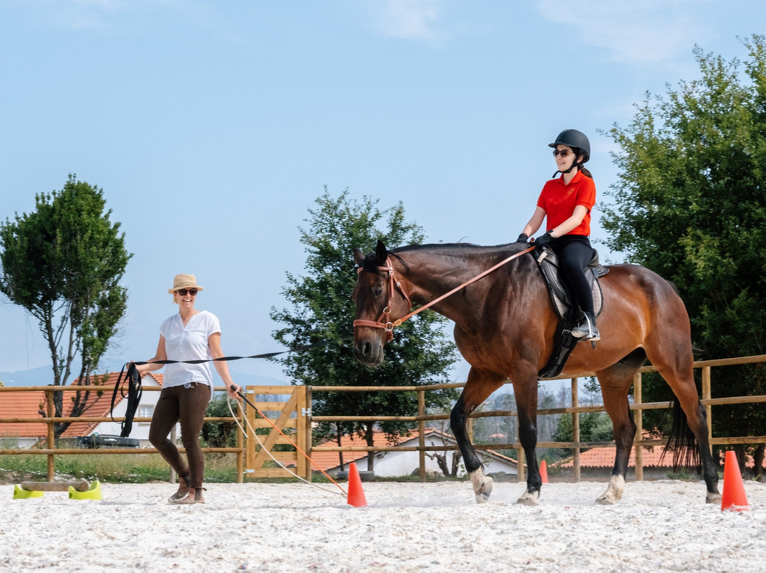 Quinta Lusitânia Riding School景点图片