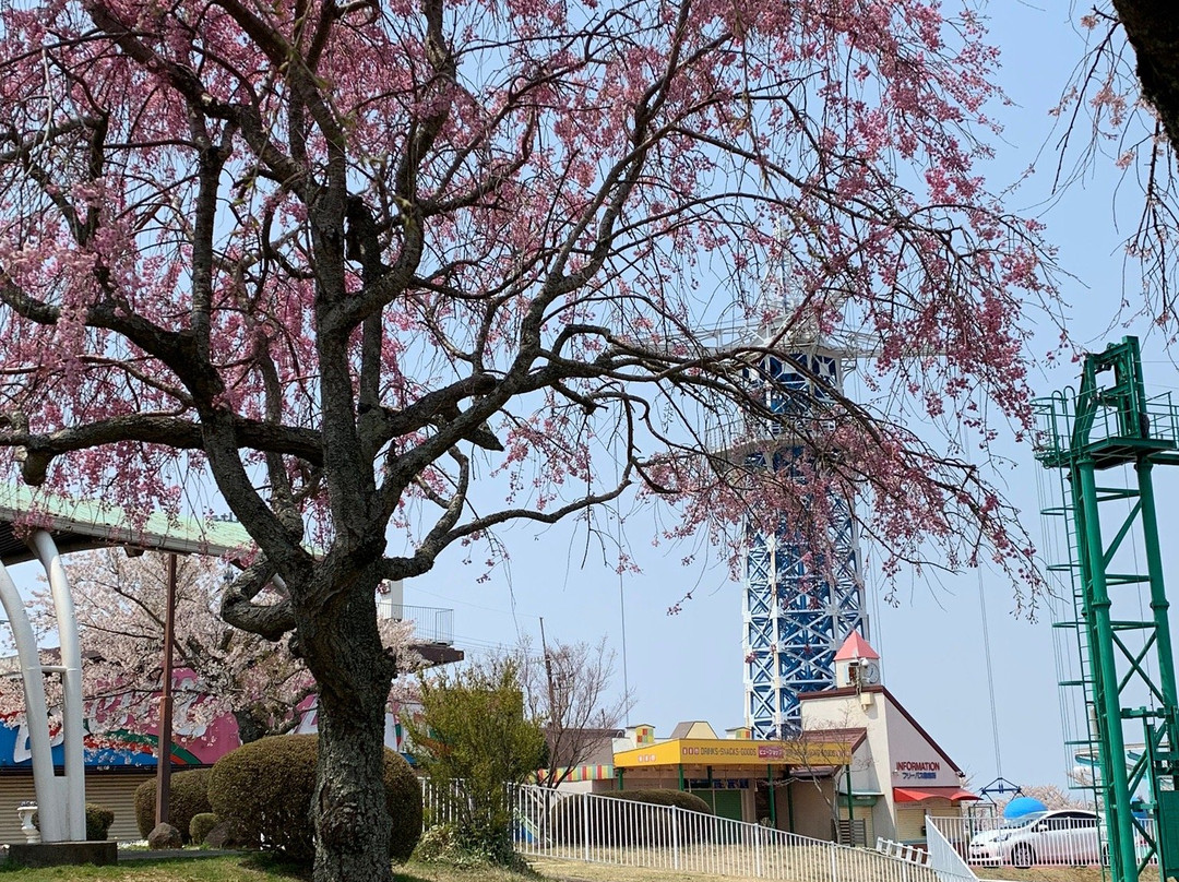 Ikoma Sanjyo Amusement Park景点图片