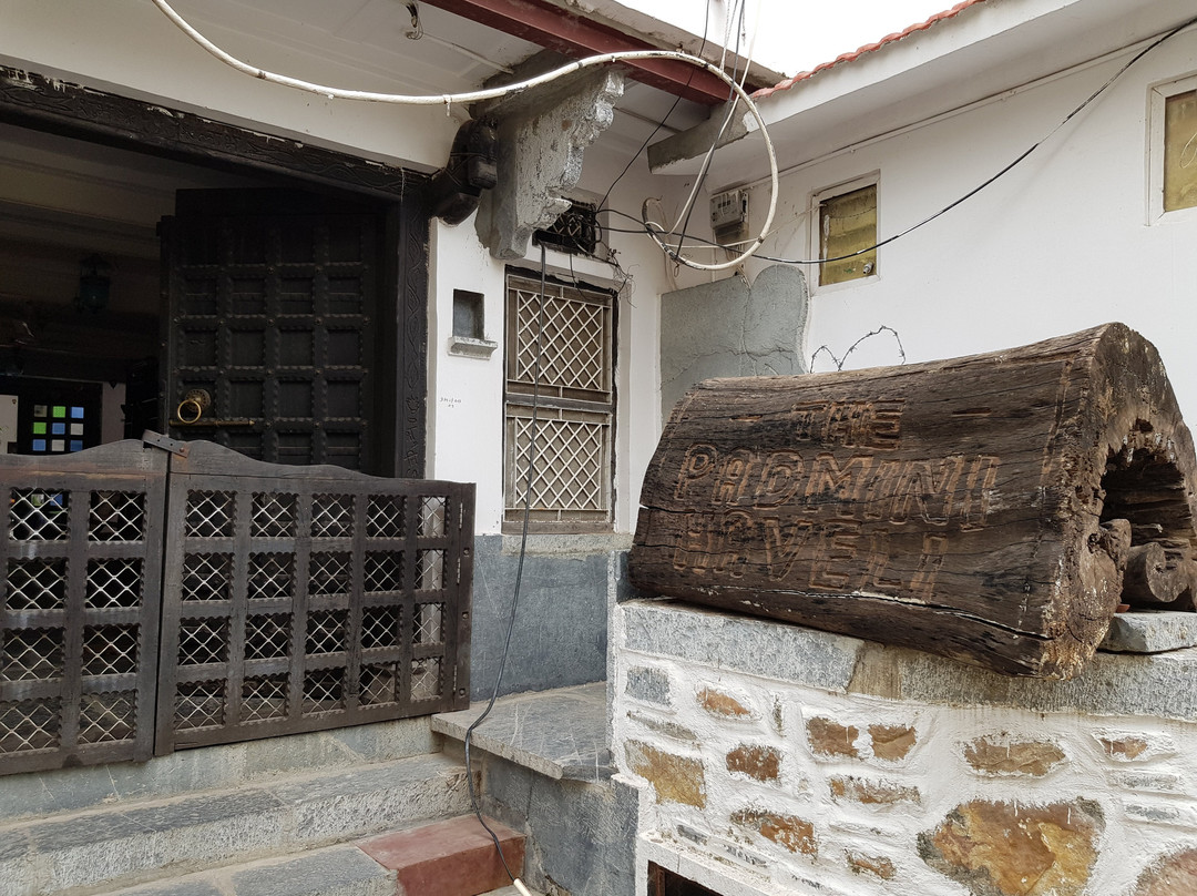 The Padmini Haveli主图