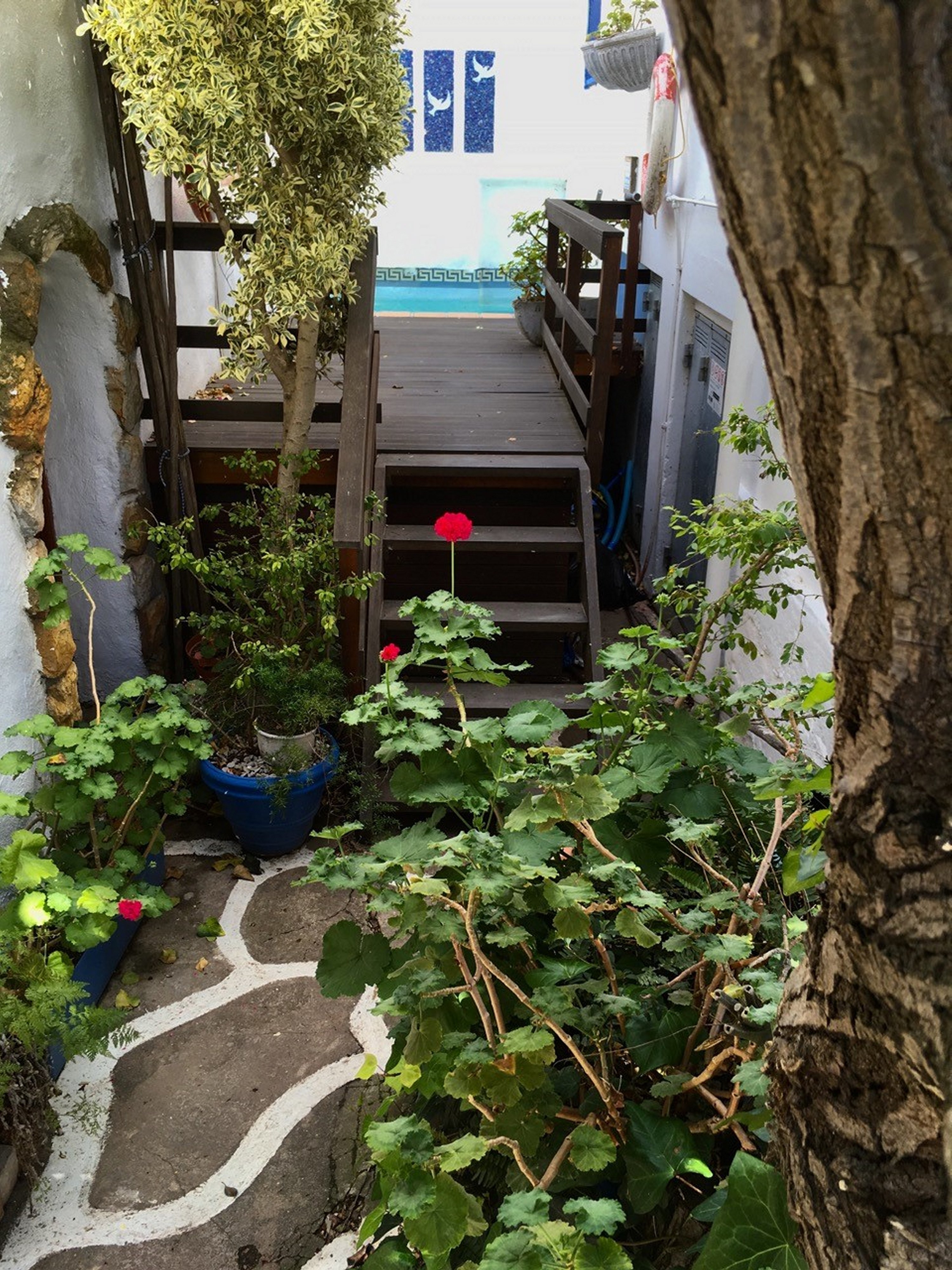 Athenian Villa-官方