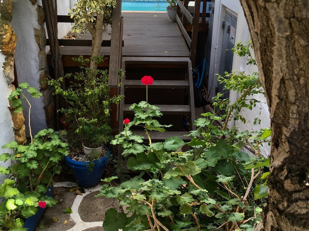 Athenian Villa主图