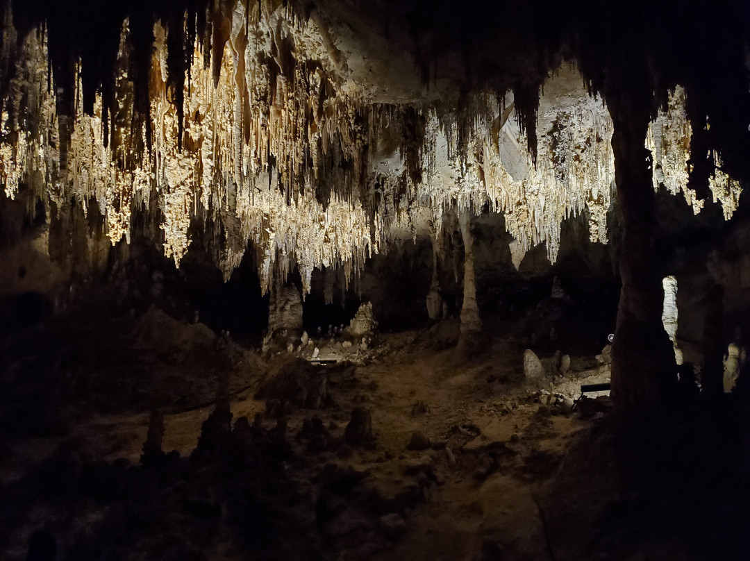 King's Palace-卡尔斯巴德洞穴国家公园必去景点