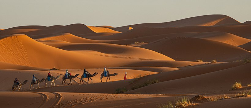Rosa Frei Morocco Photo Tours景点图片