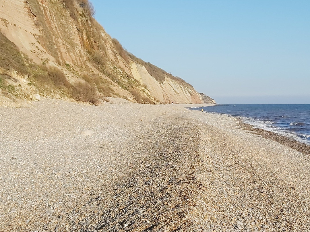 Haven Cliffs Naturist Beach景点图片