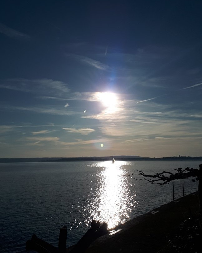 Meersburg Therme景点图片