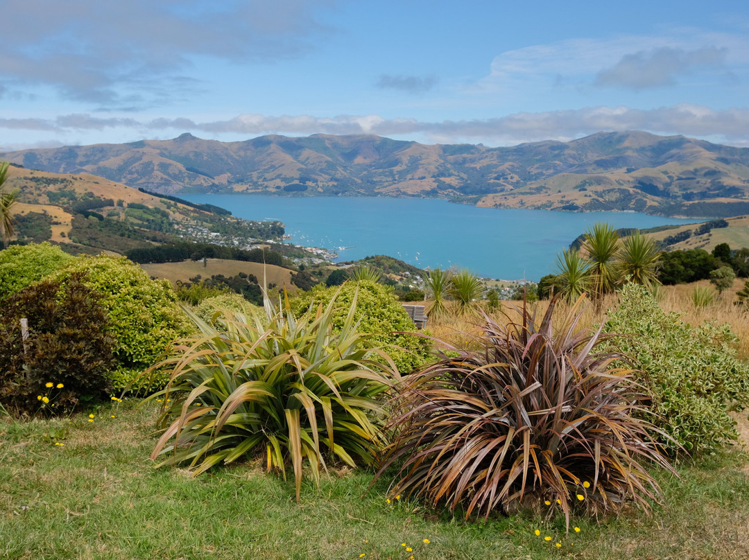 Hinewai Reserve-阿卡罗阿必去景点