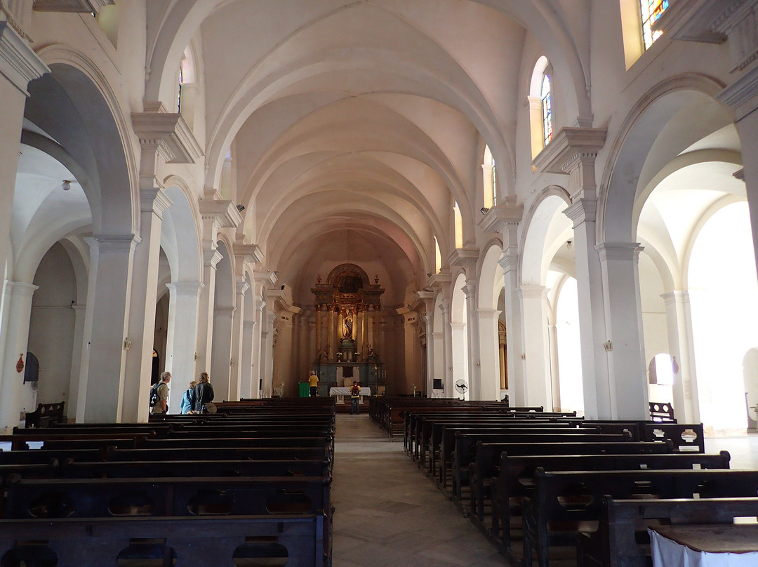 Catedral de la Purísima Concepción景点图片