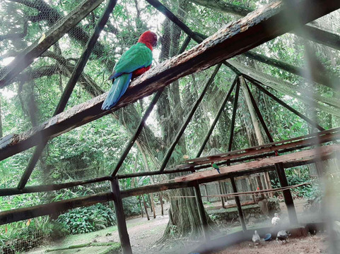 Orchid Island-苏瓦必去景点