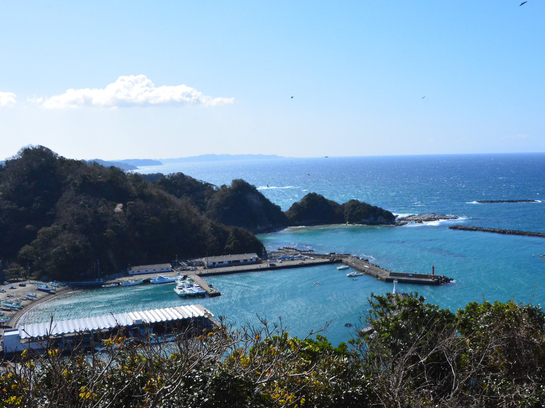 Mt. Daikoku Viewing Platform-锯南町必去景点