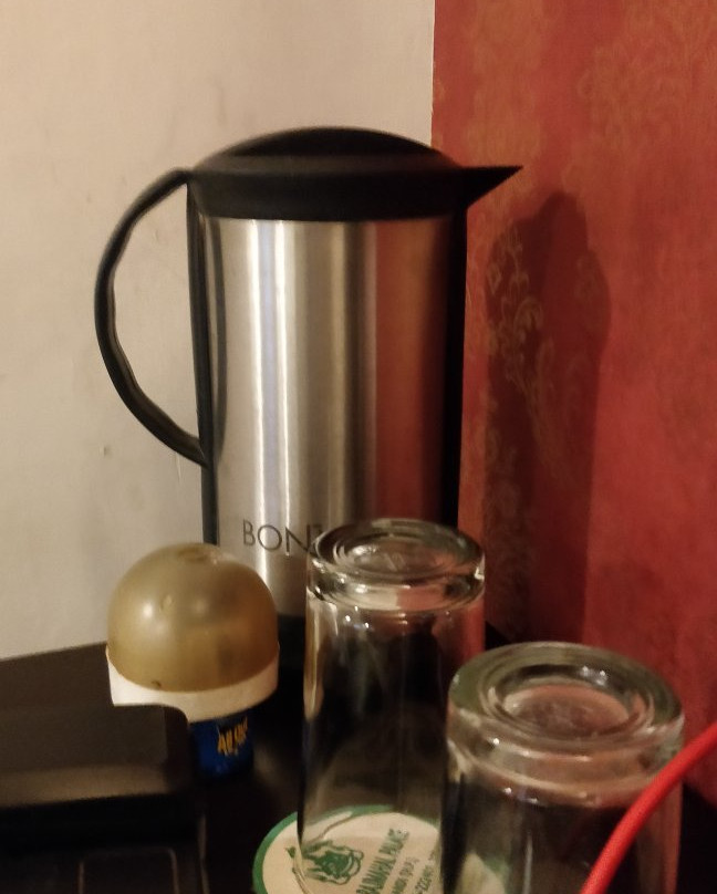 Raj Mahal Palace Hotel主图