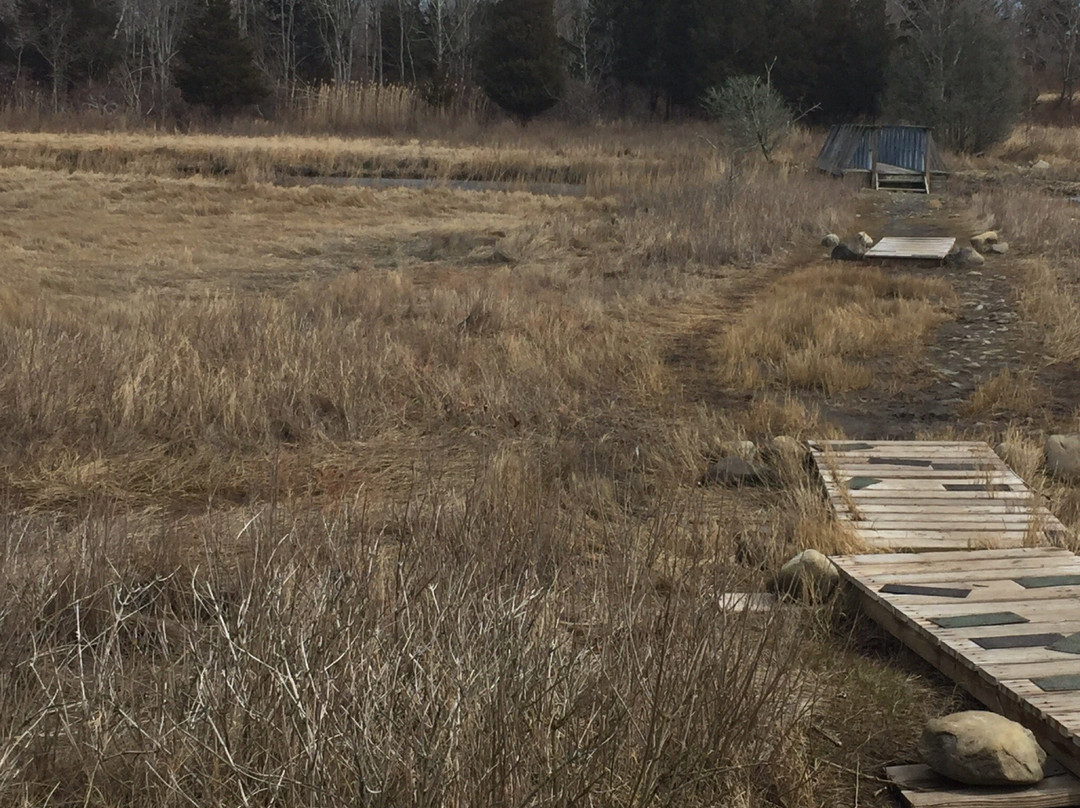Touisset Marsh Wildlife Refuge景点图片