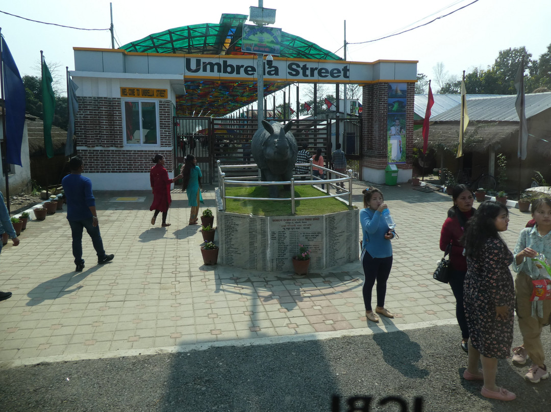 Umbrella Street-奇旺国家公国必去景点