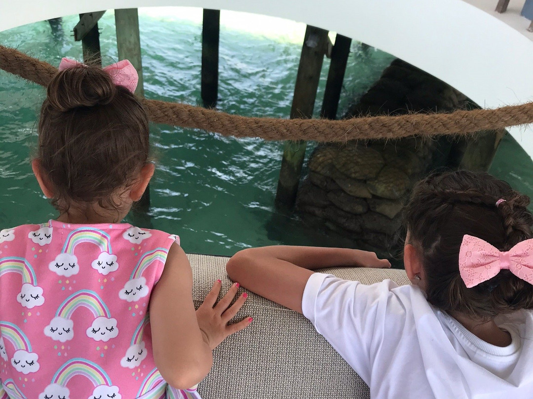 Talise Spa-Meradhoo Island必去景点