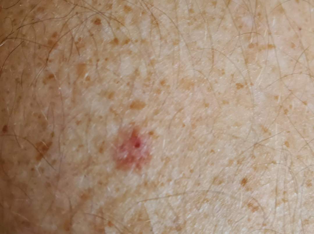 Southern Inn Lumberton主图