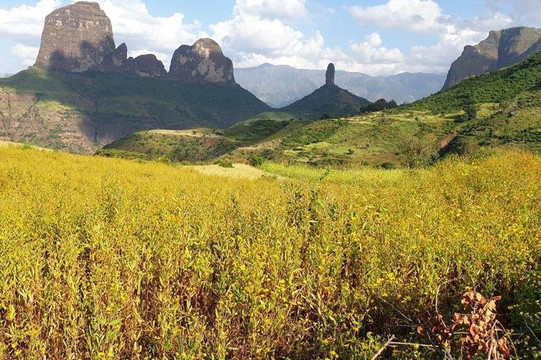 Simien Roof Trek Tours-贡德尔必去景点
