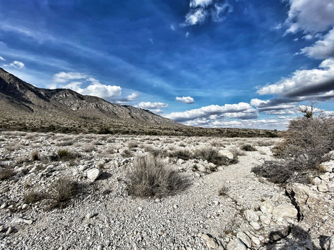El Capitan-Guadalupe Mountains National Park必去景点