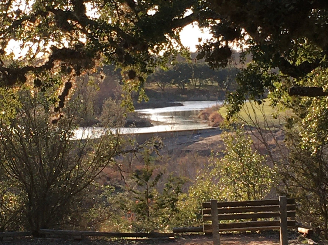 Lady Bird Johnson Municipal Park景点图片