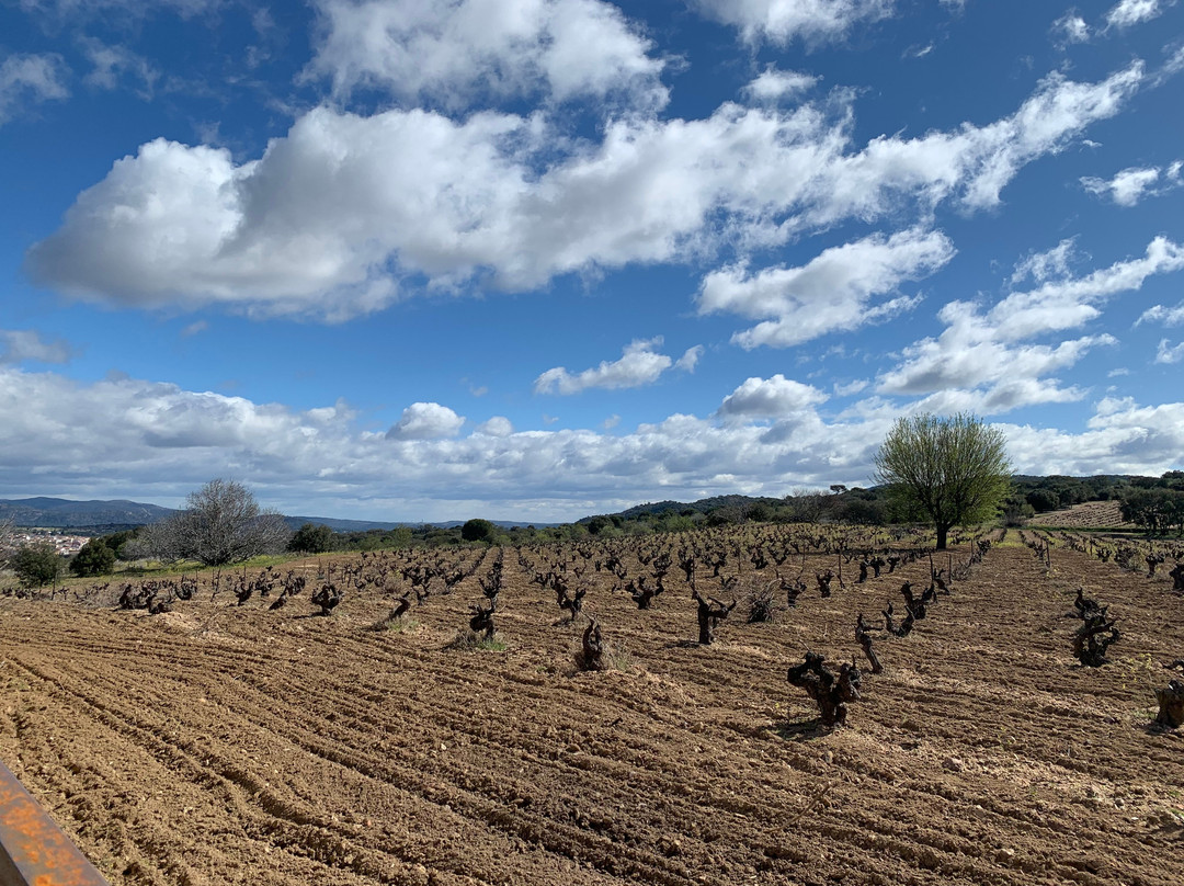 ValleYglesias-San Martin de Valdeiglesias必去景点