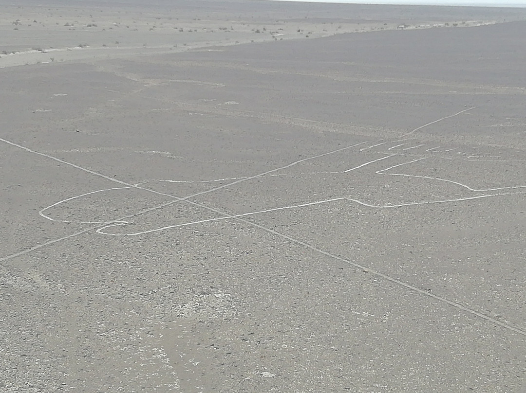 Nazca Perú 4X4-纳斯卡必去景点