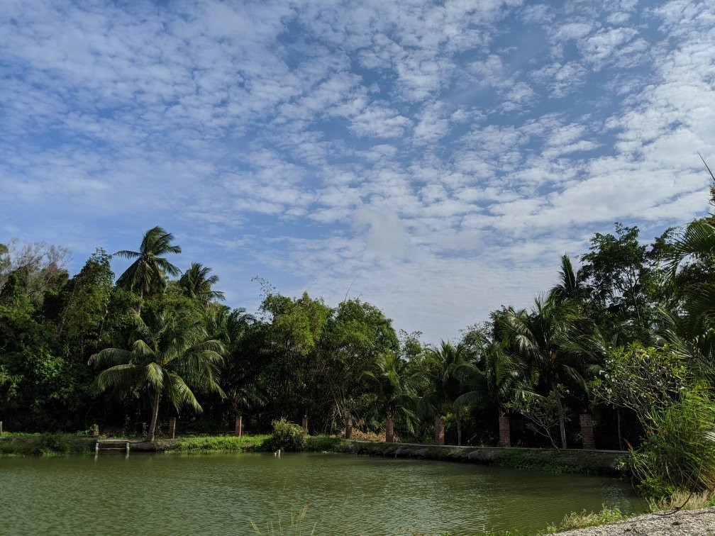 Sea Horizon Resort主图