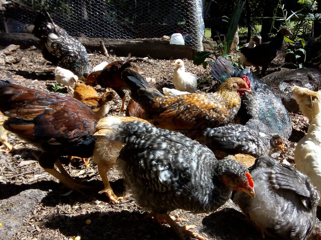 Hotel Vale do Funil主图