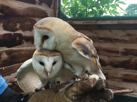 Exmoor Experience-Porlock必去景点